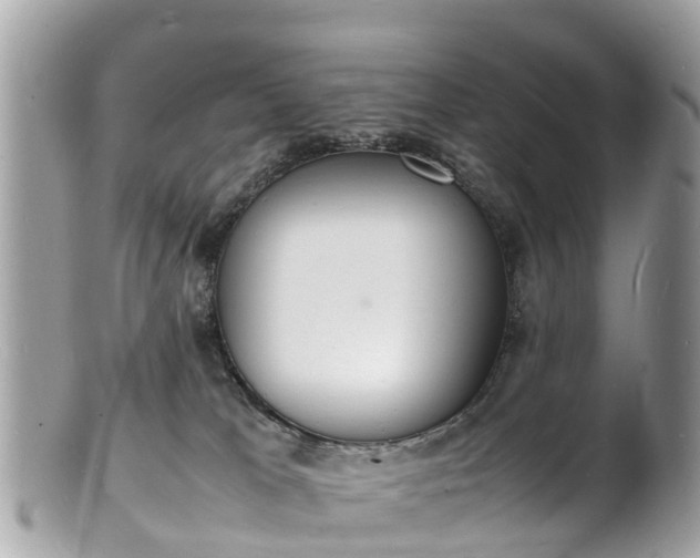 X0000100980037200807011453