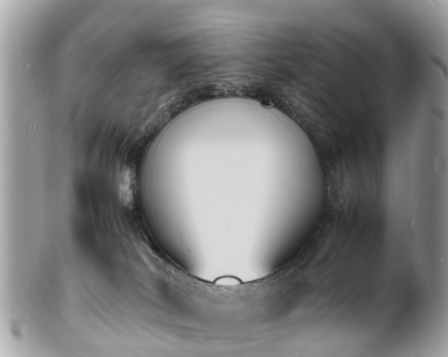 X0000100980038200807011453