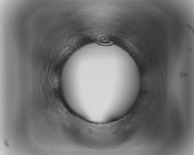 X0000100980039200807011453