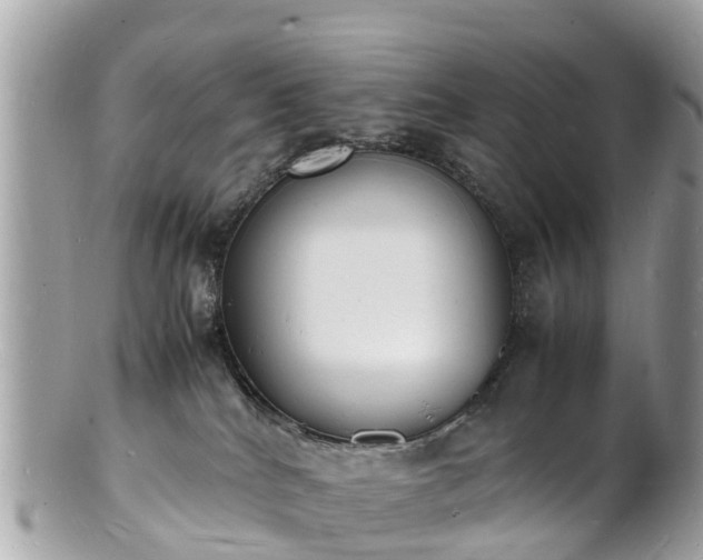 X0000100980040200807011453