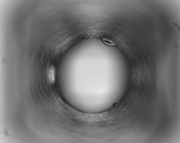 X0000100980042200807011453