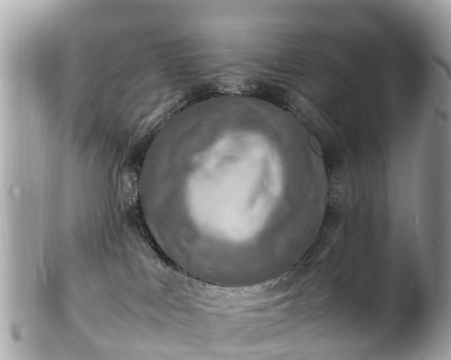 X0000100980043200807011453