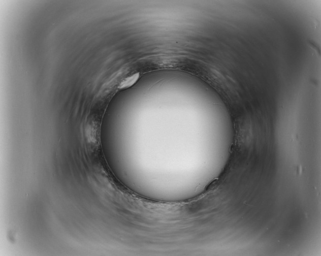 X0000100980044200807011453