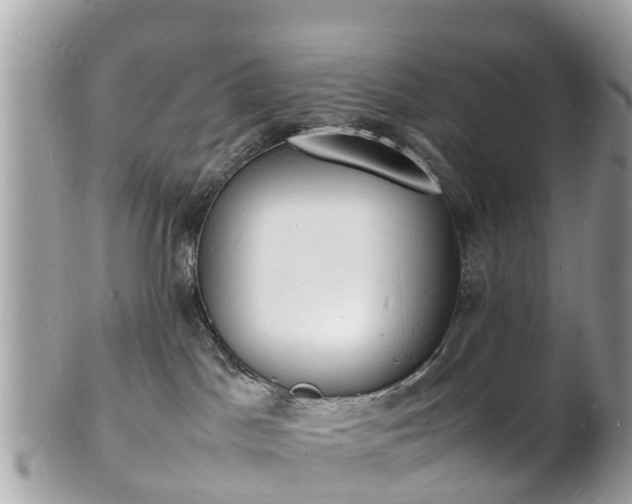 X0000100980045200807011453