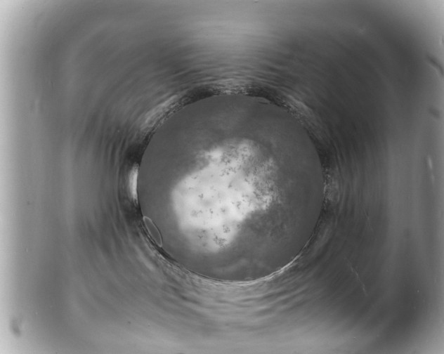 X0000100980047200807011453