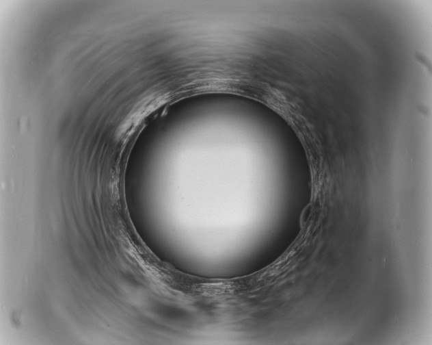 X0000100980050200807011453