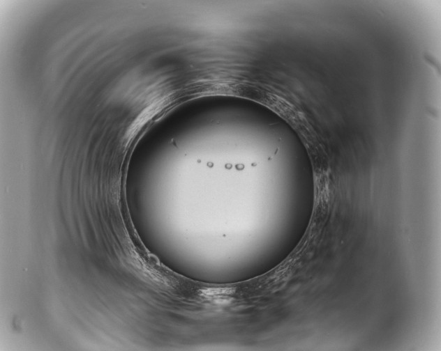 X0000100980051200807011453