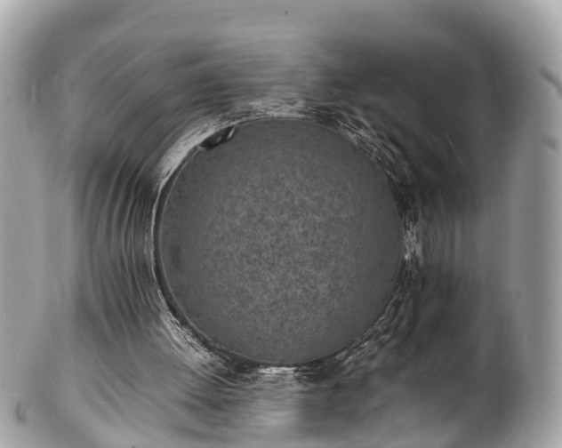 X0000100980052200807011453