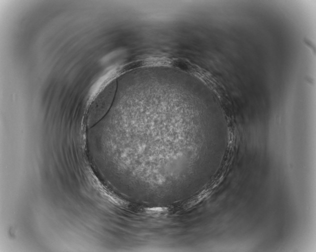 X0000100980053200807011453