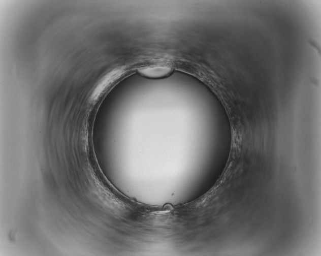 X0000100980054200807011453