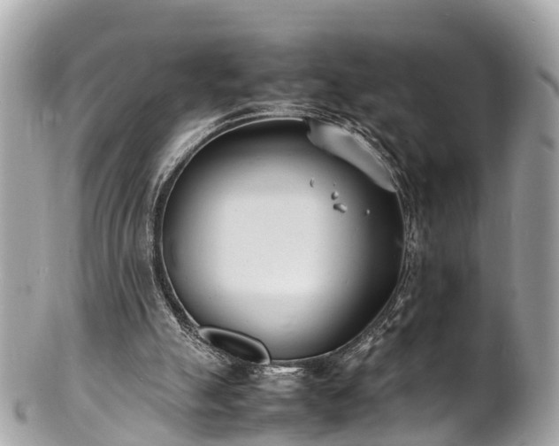 X0000100980055200807011453