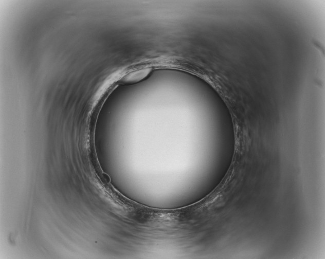 X0000100980056200807011453