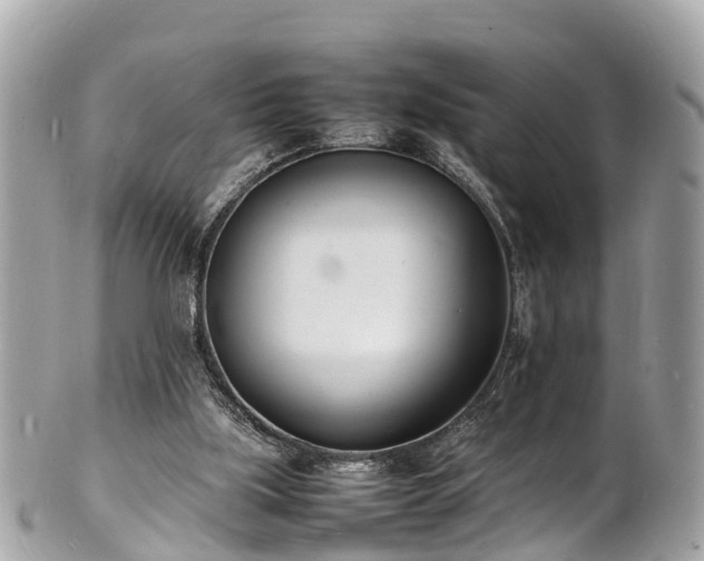 X0000100980059200807011453