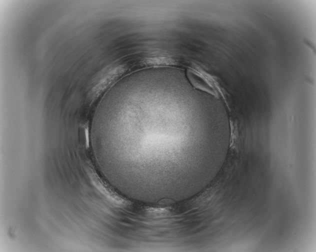 X0000100980061200807011453