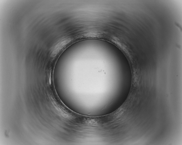 X0000100980062200807011453