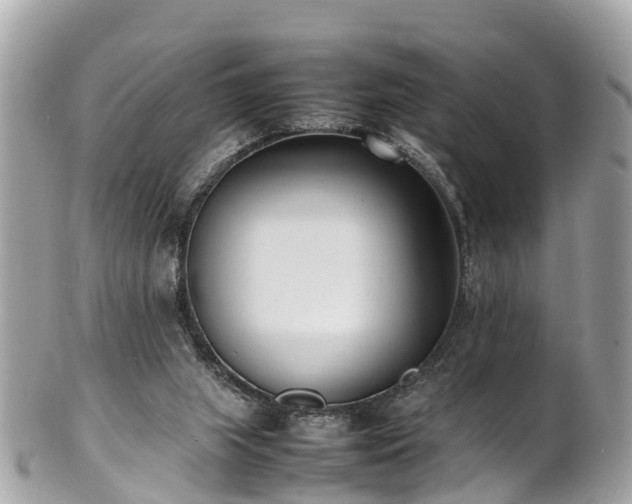 X0000100980063200807011453