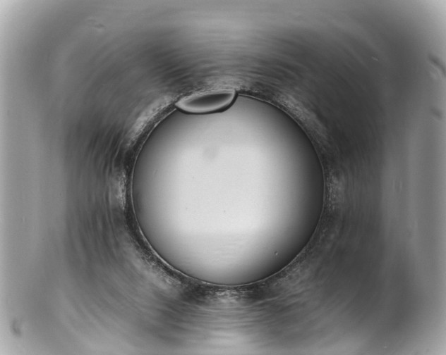 X0000100980064200807011453