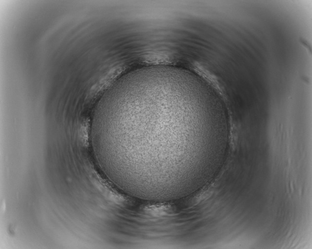 X0000100980065200807011453