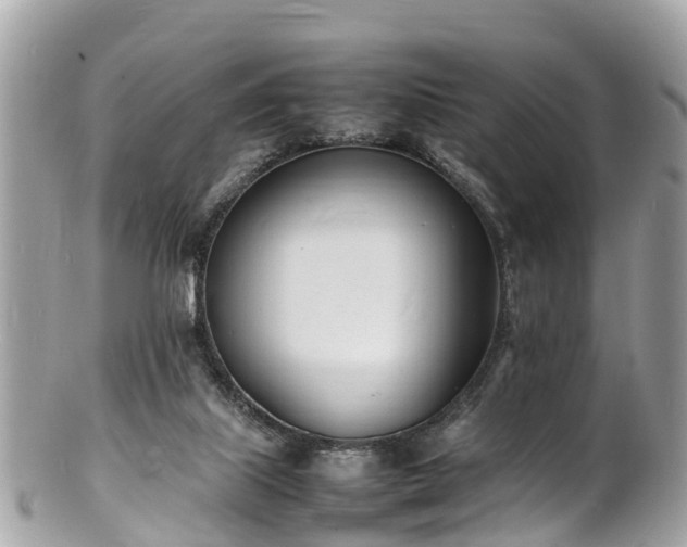 X0000100980067200807011453