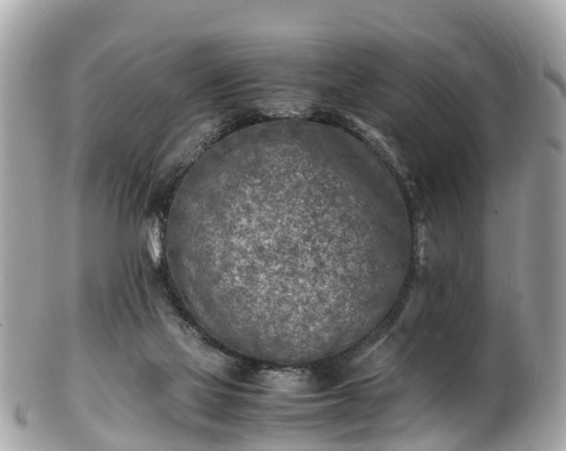 X0000100980069200807011453