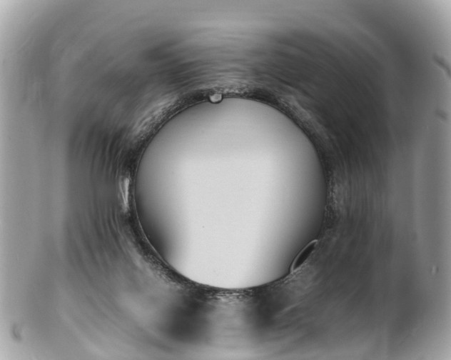 X0000100980070200807011453