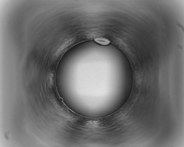 X0000100980071200807011453