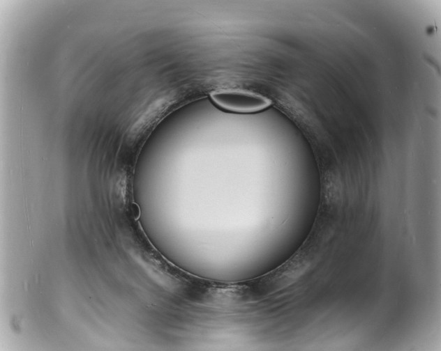 X0000100980072200807011453