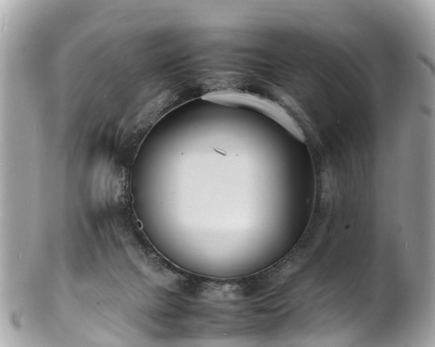 X0000100980073200807011453