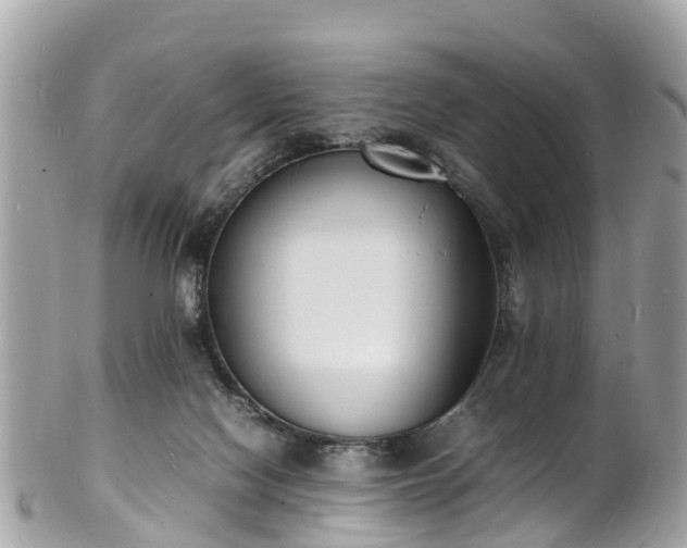 X0000100980074200807011453