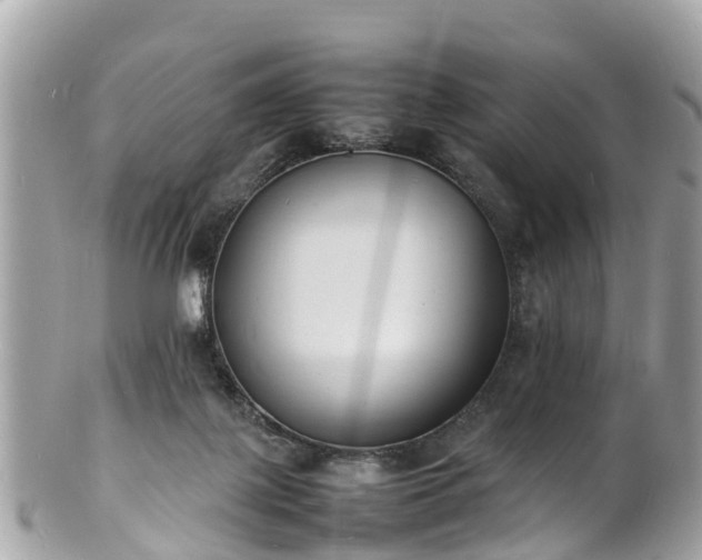 X0000100980075200807011453