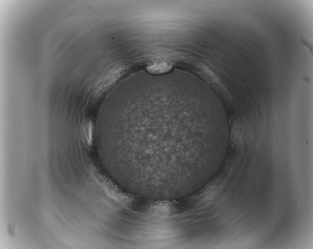 X0000100980076200807011453