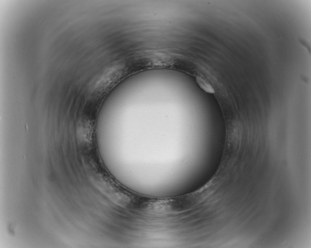 X0000100980078200807011453