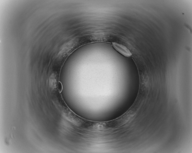 X0000100980080200807011453