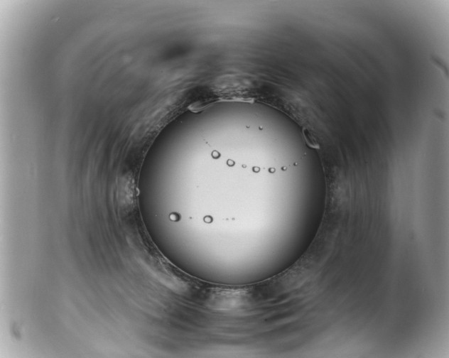 X0000100980081200807011453