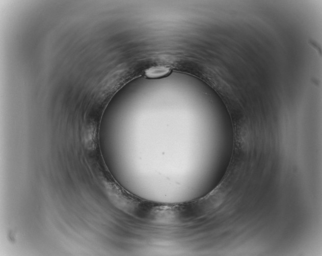 X0000100980082200807011453