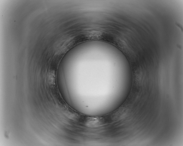 X0000100980083200807011453