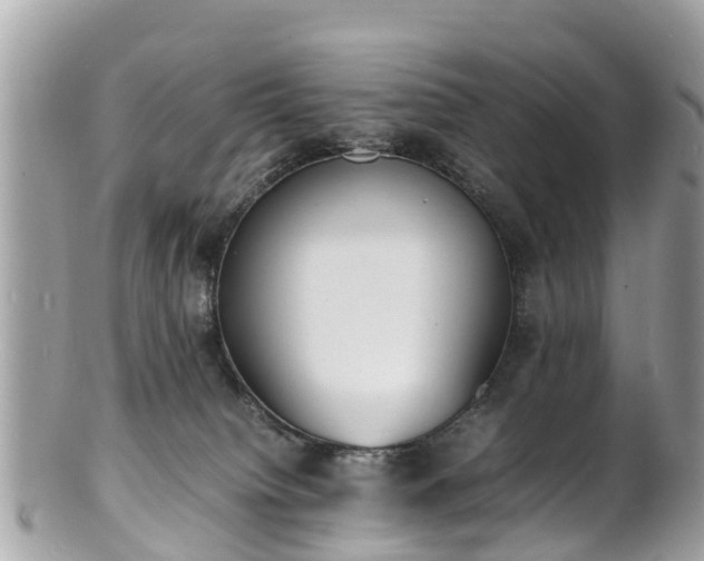 X0000100980084200807011453