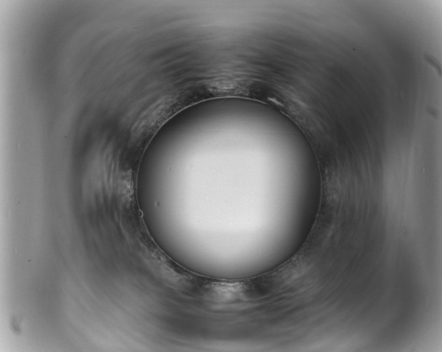 X0000100980085200807011453