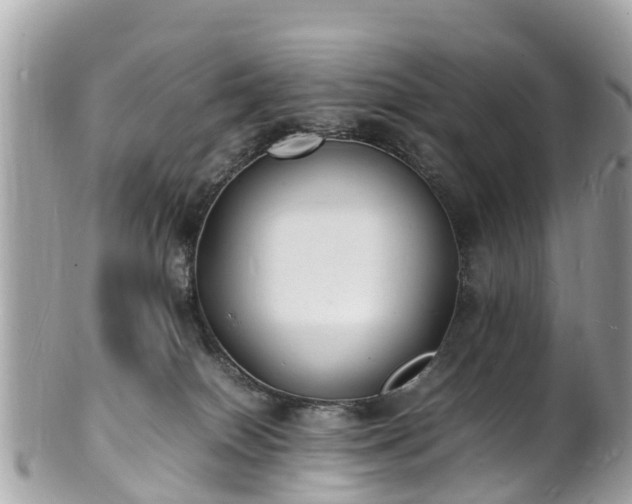 X0000100980086200807011453