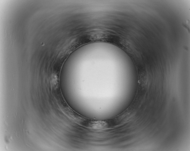 X0000100980087200807011453