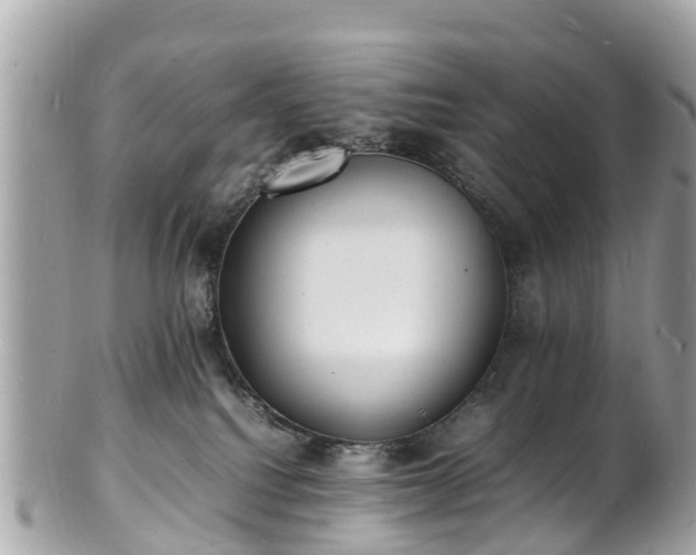 X0000100980088200807011453