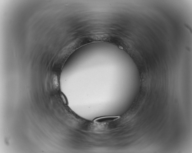 X0000100980089200807011453