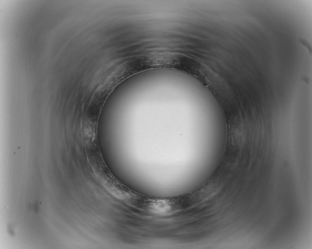 X0000100980091200807011453