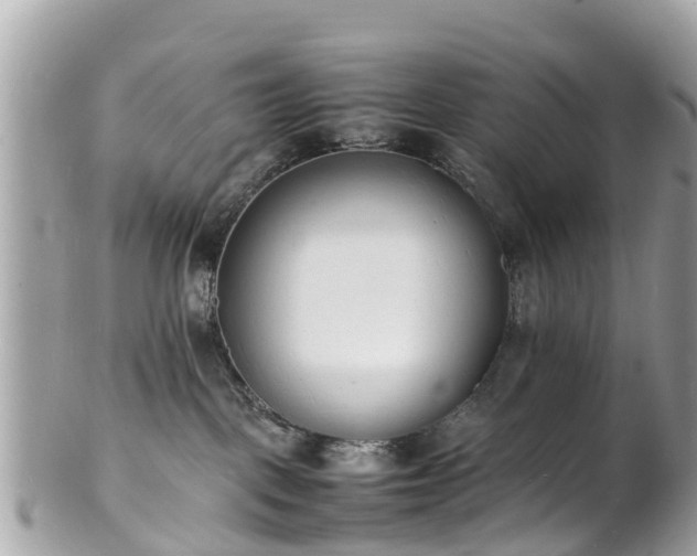 X0000100980093200807011453