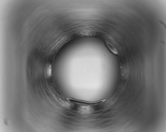 X0000100980095200807011453