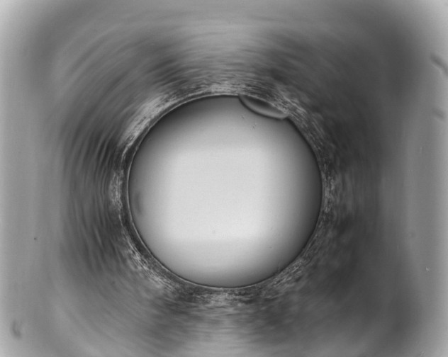 X0000100980098200807011453