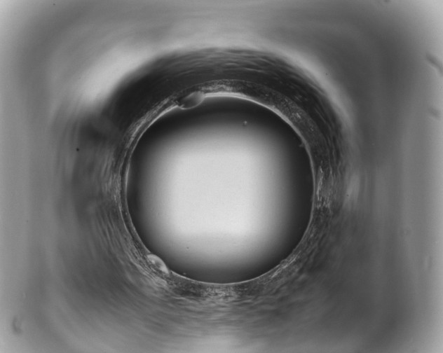 X0000100980099200807011452