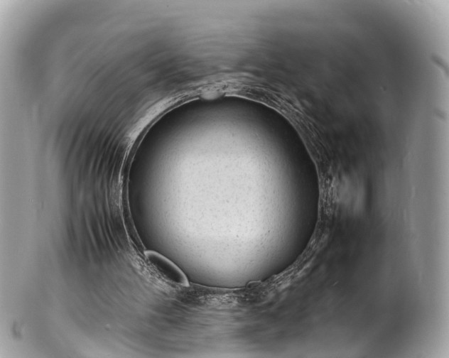 X0000100980100200807011452