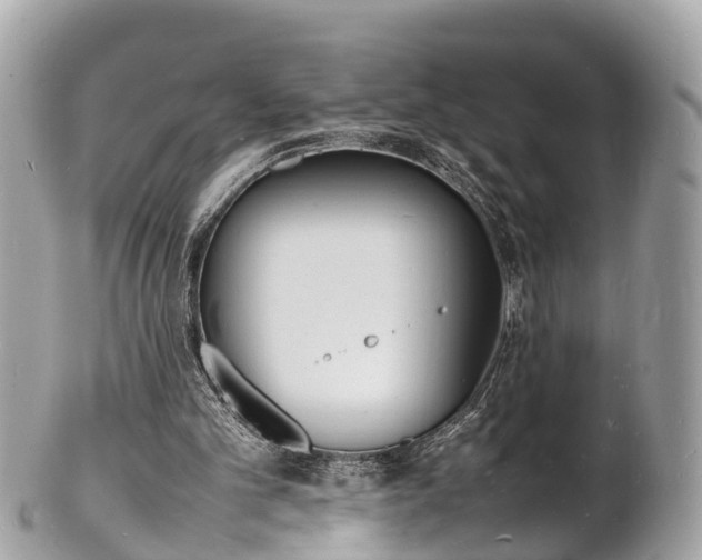 X0000100980101200807011452