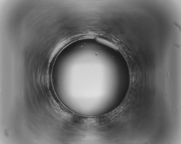 X0000100980102200807011452